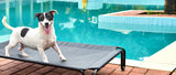 pettycare Elevated Outdoor Dog Bed - Dog Cots beds for Medium Dogs, Waterproof Raised Dog Bed Easy to Assemble, Cooling Elevated Dog Bed with Teslin Mesh, Durable, Non Slip, Up to 40 lbs,Black,FREE SHIPPING, Delivery 1 week .