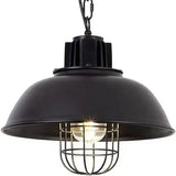 Black Light Pendant 12inches, Metal Industrial with Wire Cage Hanging Ceiling Light Fixture Island Light,Pack of two,Free shipping,to Canada in 60days.