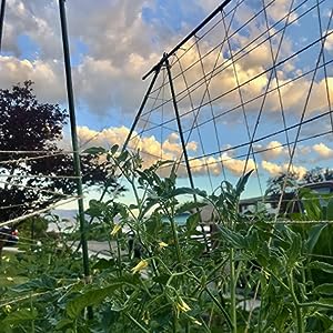 Natural Jute Twine 600 Feet Long Twine String for Crafts Gift Wrapping Packing Gardening Wedding Decor (Brown 2mm * 600feet),Free shipping to Canada,delivery two weeks