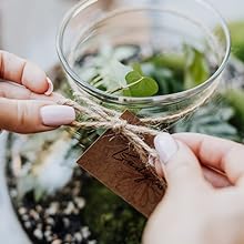 Natural Jute Twine 600 Feet Long Twine String for Crafts Gift Wrapping Packing Gardening Wedding Decor (Brown 2mm * 600feet),Free shipping to Canada,delivery two weeks