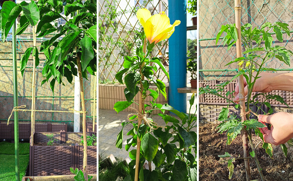 Vivifying Natural Jute Twine, 656 Feet 2mm Thick Brown Twine String for Garden, Crafts, Gifts Wrapping, Packing, Free, fast shipping to Canada