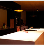 Nordic  Led Pendant Lights Restaurant Kitchen Indoor Lighting Modern Dining Room Decoration Ul